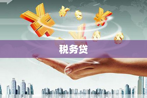 城西税务贷