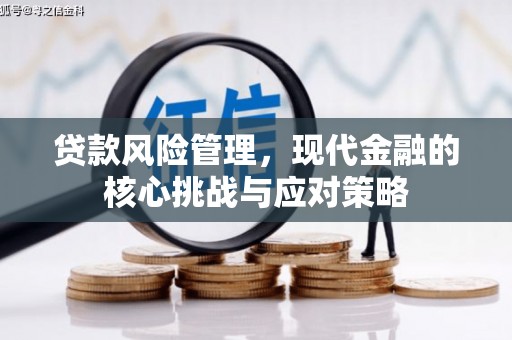 城西贷款风险管理，现代金融的核心挑战与应对策略