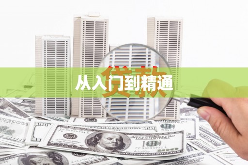 城西从入门到精通