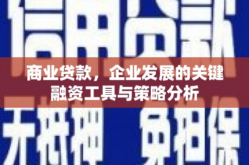 城西商业贷款，企业发展的关键融资工具与策略分析