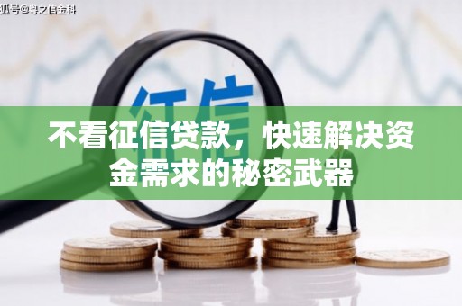 城西不看征信贷款，快速解决资金需求的秘密武器