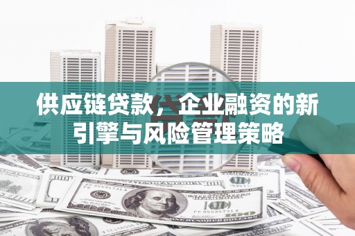 城西供应链贷款，企业融资的新引擎与风险管理策略