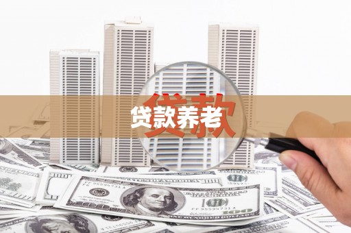 城西贷款养老