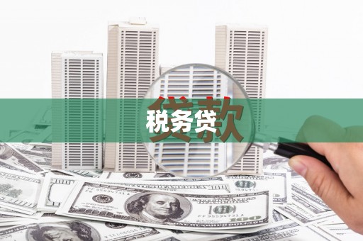 城西税务贷