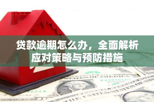 城西贷款逾期怎么办，全面解析应对策略与预防措施