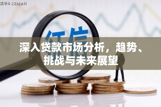 城西深入贷款市场分析，趋势、挑战与未来展望