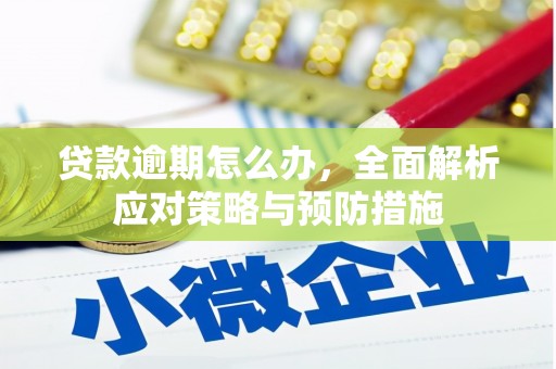 城西贷款逾期怎么办，全面解析应对策略与预防措施