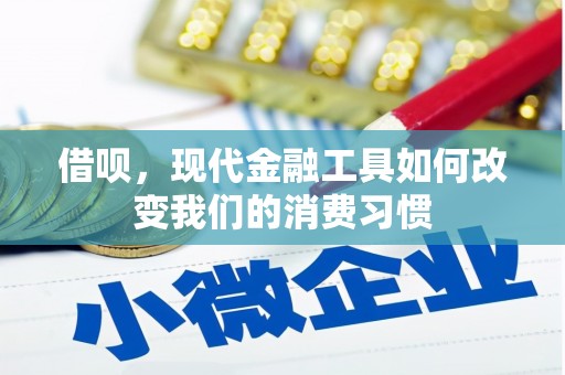 城西借呗，现代金融工具如何改变我们的消费习惯