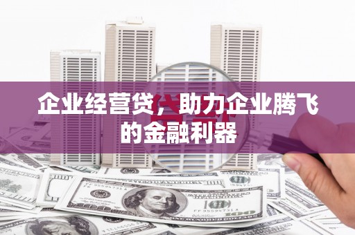 城西企业经营贷，助力企业腾飞的金融利器