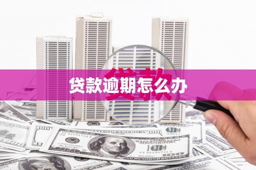城西贷款逾期怎么办