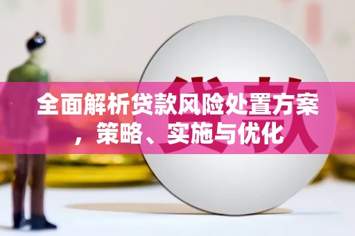 城西全面解析贷款风险处置方案，策略、实施与优化