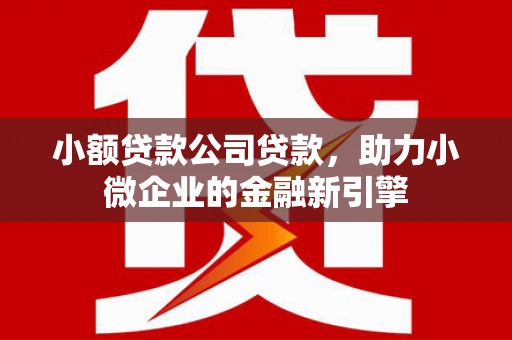 城西小额贷款公司贷款，助力小微企业的金融新引擎