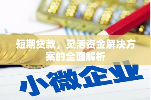 城西短期贷款，灵活资金解决方案的全面解析