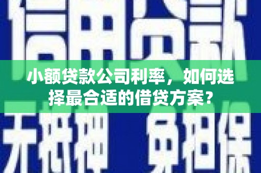 城西小额贷款公司利率，如何选择最合适的借贷方案？