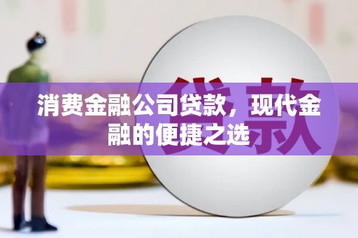 城西消费金融公司贷款，现代金融的便捷之选
