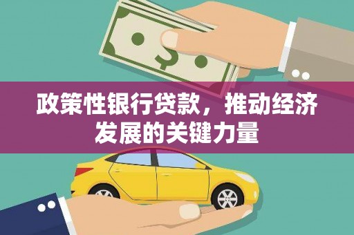 城西政策性银行贷款，推动经济发展的关键力量