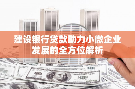 城西建设银行贷款助力小微企业发展的全方位解析