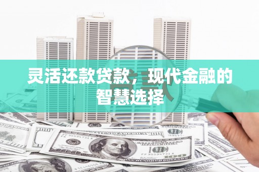 城西灵活还款贷款，现代金融的智慧选择