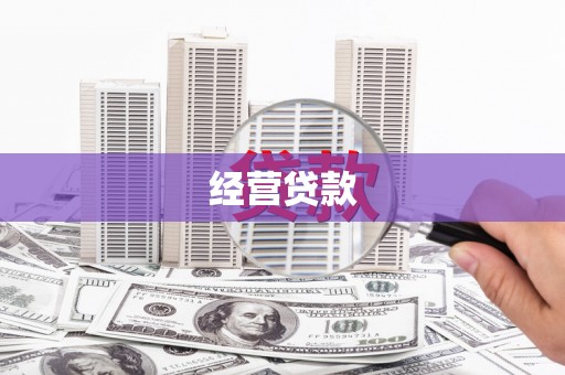 城西经营贷款