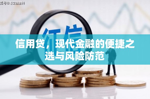 城西信用贷，现代金融的便捷之选与风险防范