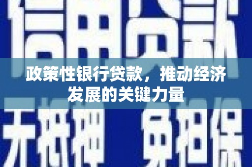 城西政策性银行贷款，推动经济发展的关键力量