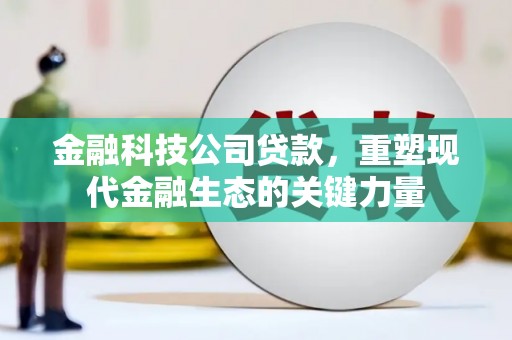 城西金融科技公司贷款，重塑现代金融生态的关键力量