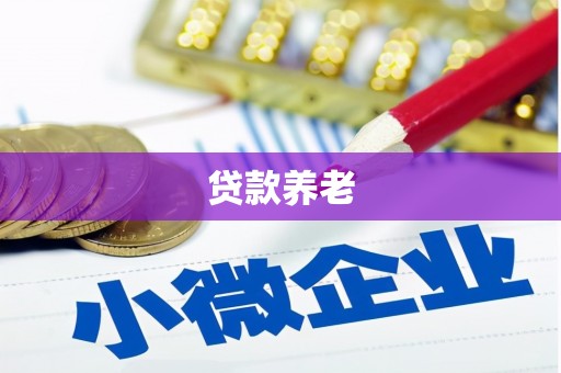 城西贷款养老