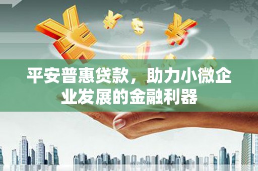 城西平安普惠贷款，助力小微企业发展的金融利器