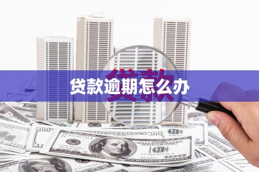 城西贷款逾期怎么办