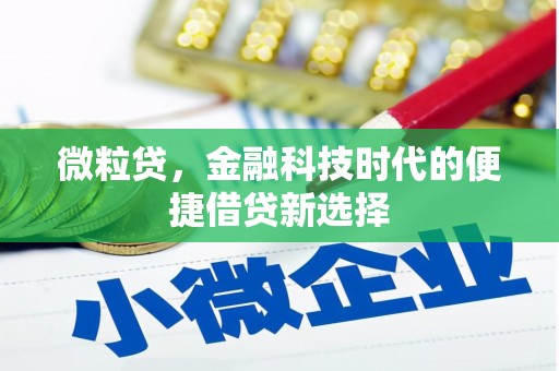 城西微粒贷，金融科技时代的便捷借贷新选择