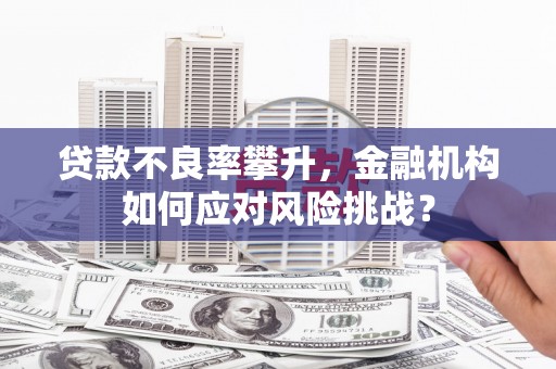 城西贷款不良率攀升，金融机构如何应对风险挑战？