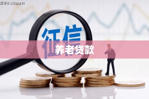 城西养老贷款