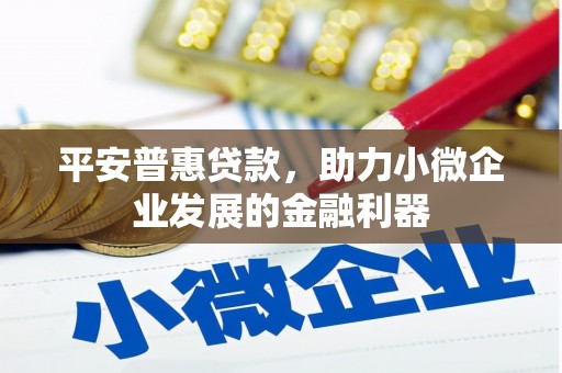 城西平安普惠贷款，助力小微企业发展的金融利器