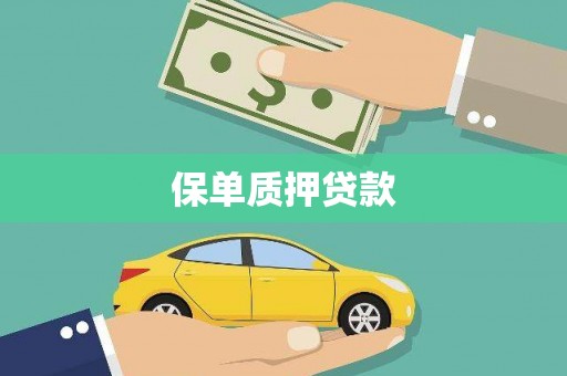 城西保单质押贷款