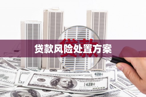 城西贷款风险处置方案