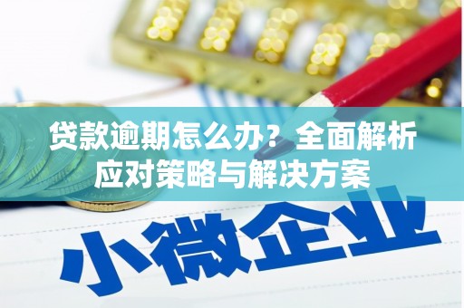 城西贷款逾期怎么办？全面解析应对策略与解决方案