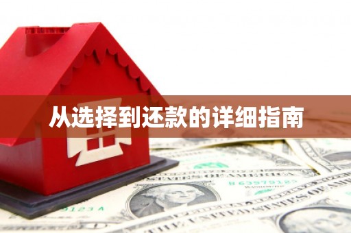 城西从选择到还款的详细指南
