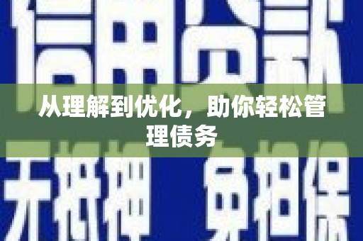 城西从理解到优化，助你轻松管理债务