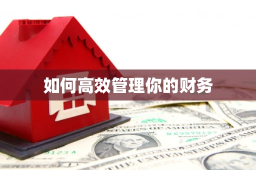 城西如何高效管理你的财务