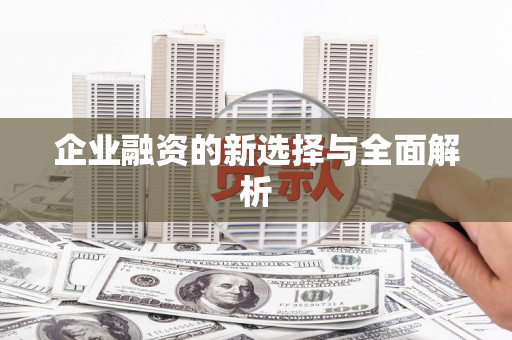 城西企业融资的新选择与全面解析