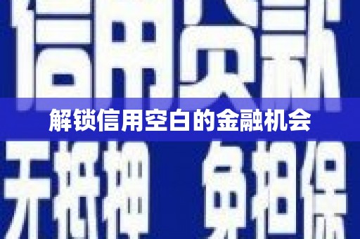 城西解锁信用空白的金融机会