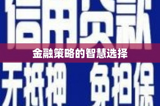 城西金融策略的智慧选择