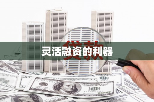 城西灵活融资的利器