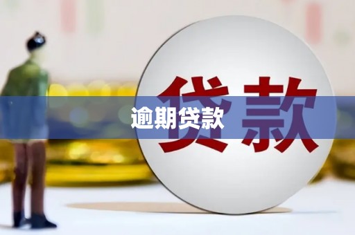 城西逾期贷款