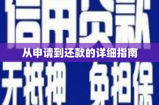 城西从申请到还款的详细指南